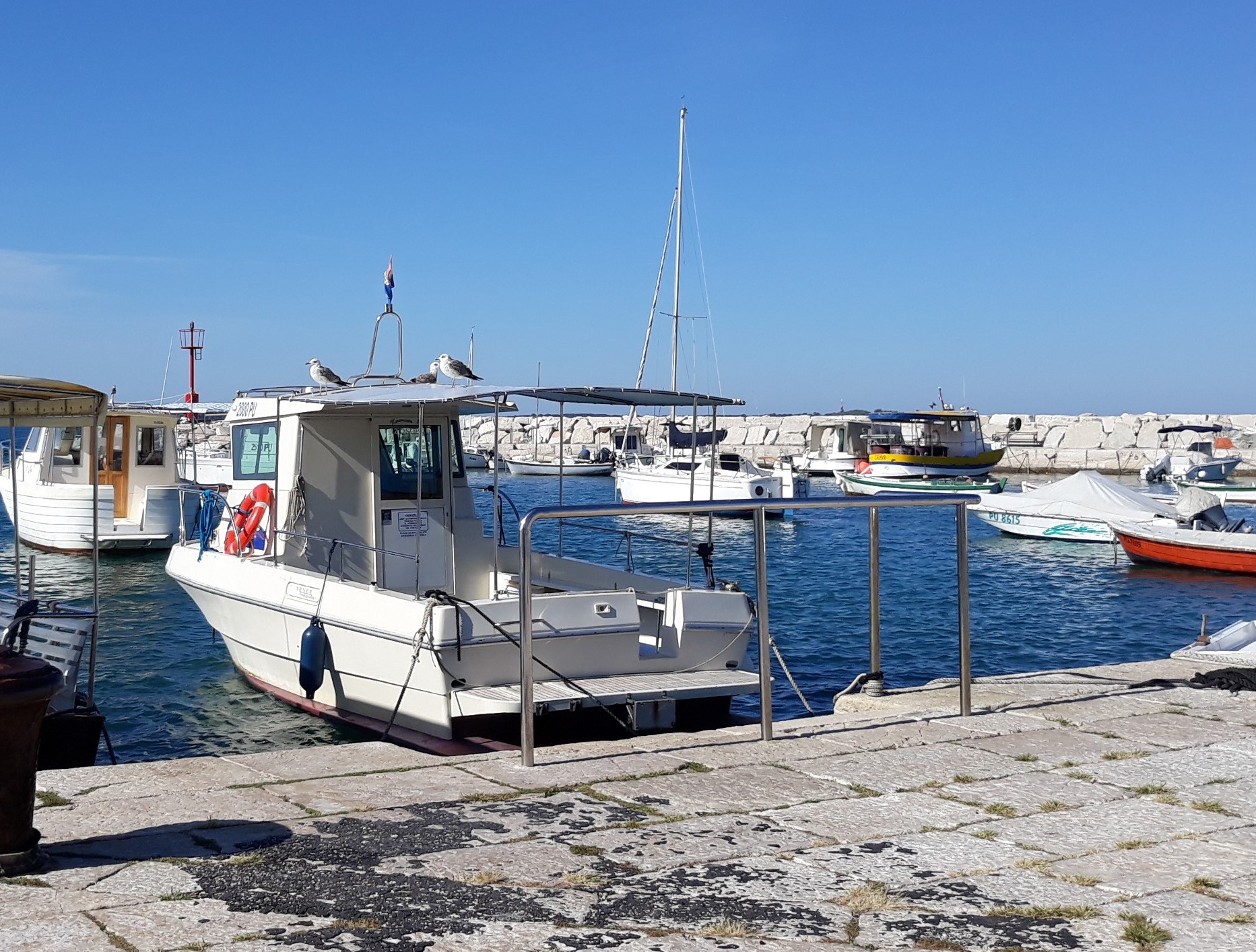 M/B Nikola