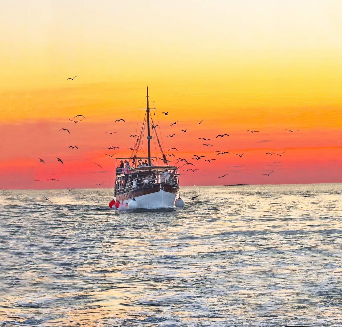 M/B Amadeus & M/B Koby & gliseri